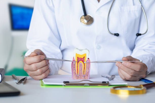 Best Emergency Dentist for Lost Fillings or Crowns in Greentown, OH